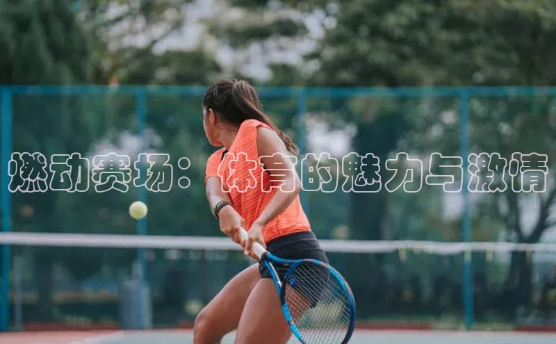 k1体育平台官网