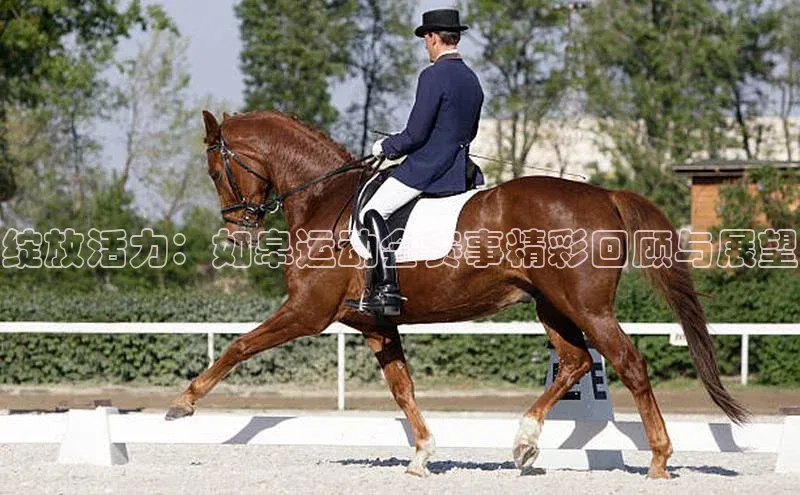 k1注册入口官网注册